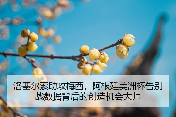 luo-sai-er-suo-zhu-gong-mei-xi-a-gen-ting-mei-zhou-bei-gao-bie-zhan-shu-ju-bei-hou-de-chuang-zao-ji-hui-da-shi-2-900.jpg