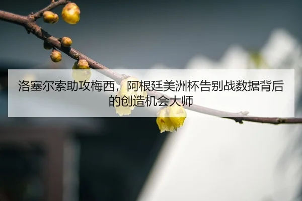 luo-sai-er-suo-zhu-gong-mei-xi-a-gen-ting-mei-zhou-bei-gao-bie-zhan-shu-ju-bei-hou-de-chuang-zao-ji-hui-da-shi-3-272.jpg