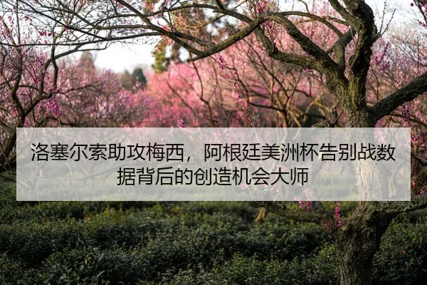 洛塞尔索助攻梅西，阿根廷美洲杯告别战数据背后的创造机会大师