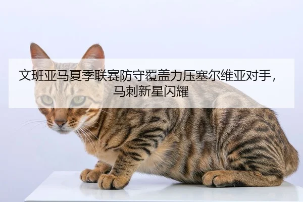 文班亚马夏季联赛防守覆盖力压塞尔维亚对手，马刺新星闪耀