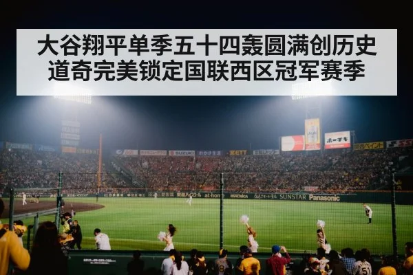 baseball stadium night