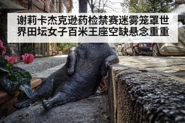 谢莉卡杰克逊药检禁赛迷雾笼罩世界田坛女子百米王座空缺悬念重重