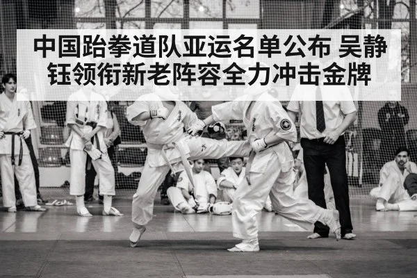 中国跆拳道队亚运名单公布 吴静钰领衔新老阵容全力冲击金牌