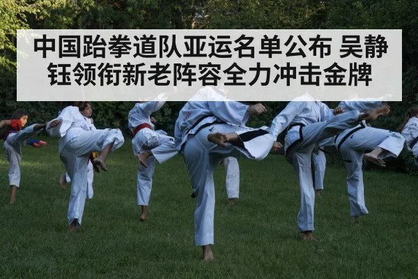 taekwondo kick action